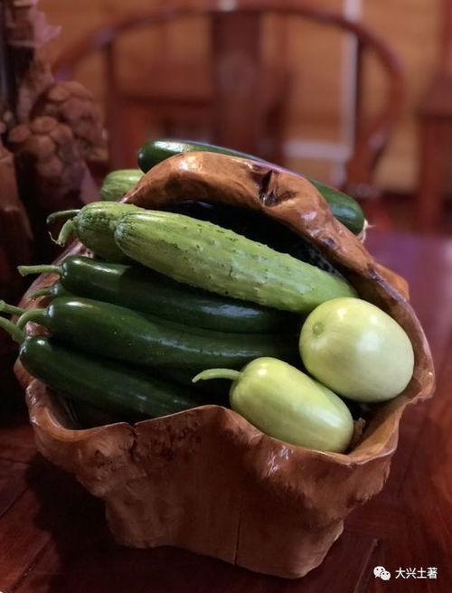 网红月月吃瓜,揭秘网红背后的真实生活