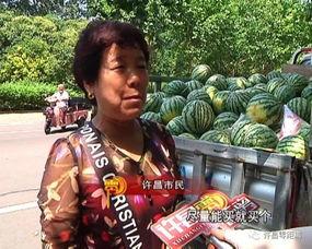 武都网红吃瓜群众事件真相