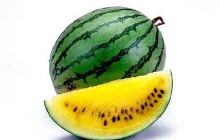 东北哪个网红吃酸瓜最多,谁才是瓜界王者？”