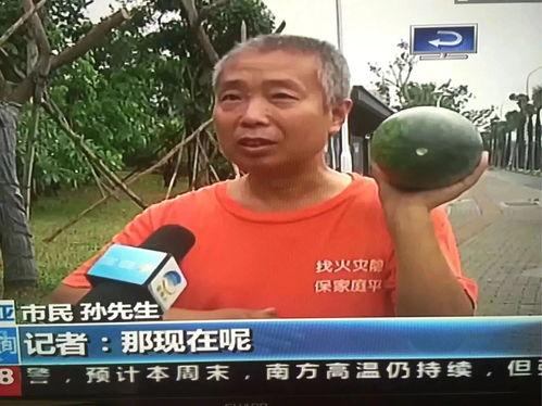 四川吃瓜网热门事件,揭秘近期热门事件背后的真相