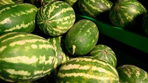 甘肃网红吃瓜事件,揭秘网络舆论的风暴与真相