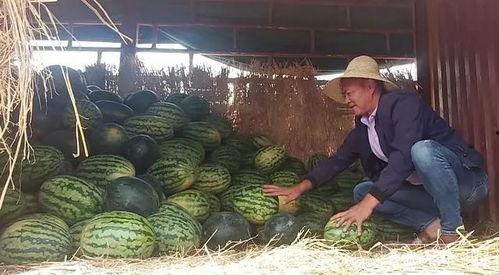 昆明某网红吃瓜视频,揭秘幕后真相,带你领略网红圈风云