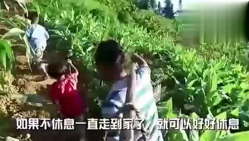 天门扛大旗网红吃瓜视频