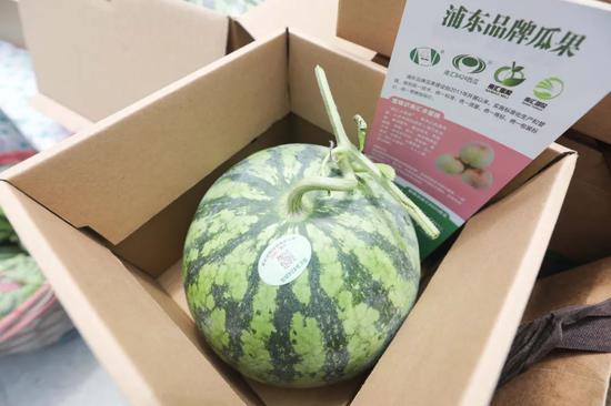 网红吃瓜人口,揭秘娱乐圈幕后真相