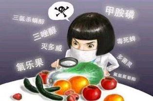 吃瓜妙海丹丹开学了淡网,开学季的甜蜜网事