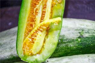 网红吃瓜网站在线看,在线观看热门事件,揭秘娱乐圈幕后真相