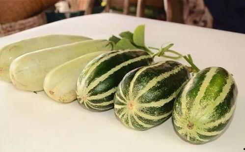 吃瓜群免费网红,揭秘吃瓜群免费网红背后的秘密