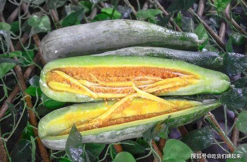 网红吃瓜郡,揭秘网络红人的美食之旅