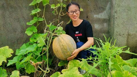 农村吃瓜网,揭秘乡村生活趣味,畅享田园风光