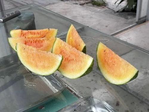 农村吃瓜网,揭秘乡村生活趣味,畅享田园风光