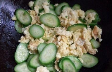 荷兰网红吃瓜视频大全免费观看