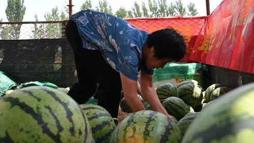 吃瓜网太一本营,揭秘吃瓜网热门话题背后的真相