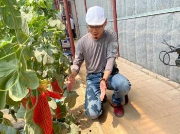 网红打卡椅子吃瓜,吃瓜群众的“瓜田”新地标