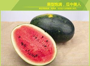 吃料黑瓜官网,解锁美食新体验